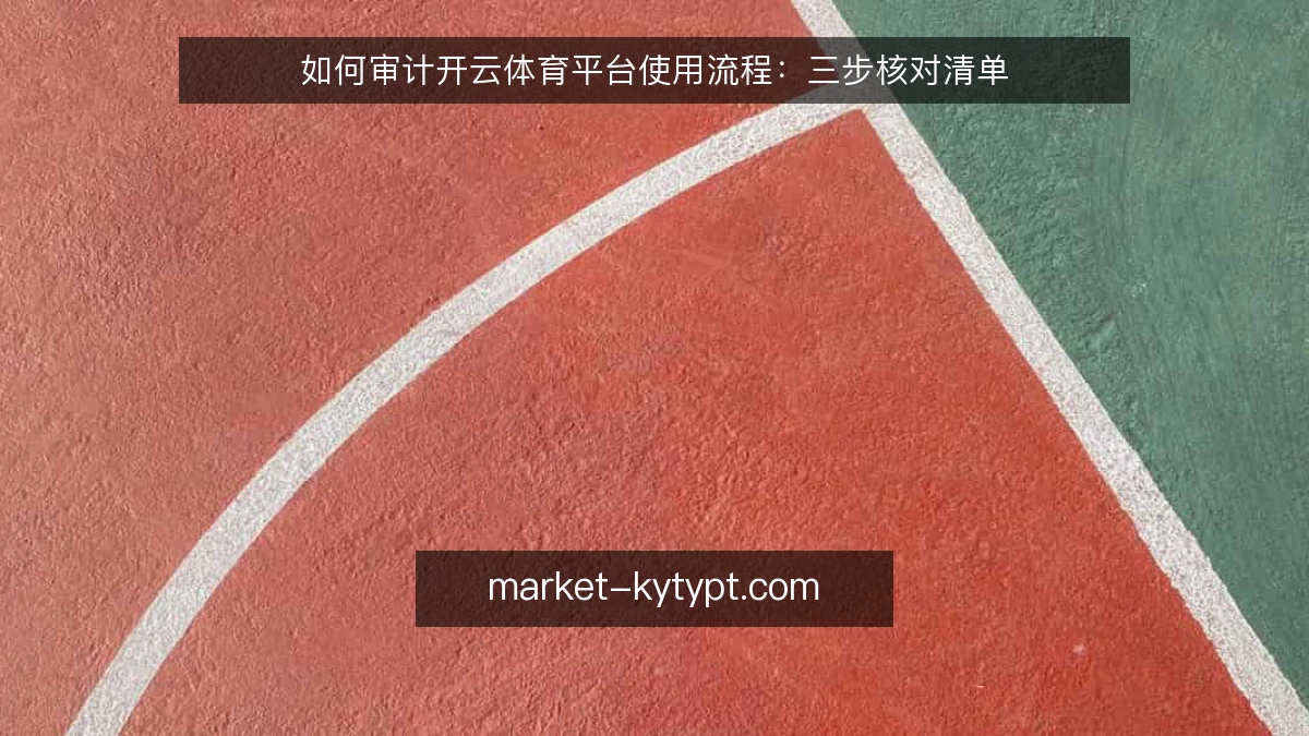 如何审计开云体育平台使用流程:三步核对清单