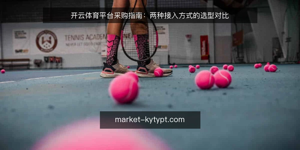 开云体育平台采购指南:两种接入方式的选型对比 — 先定决策标准:采购前要写清的必备项 配图