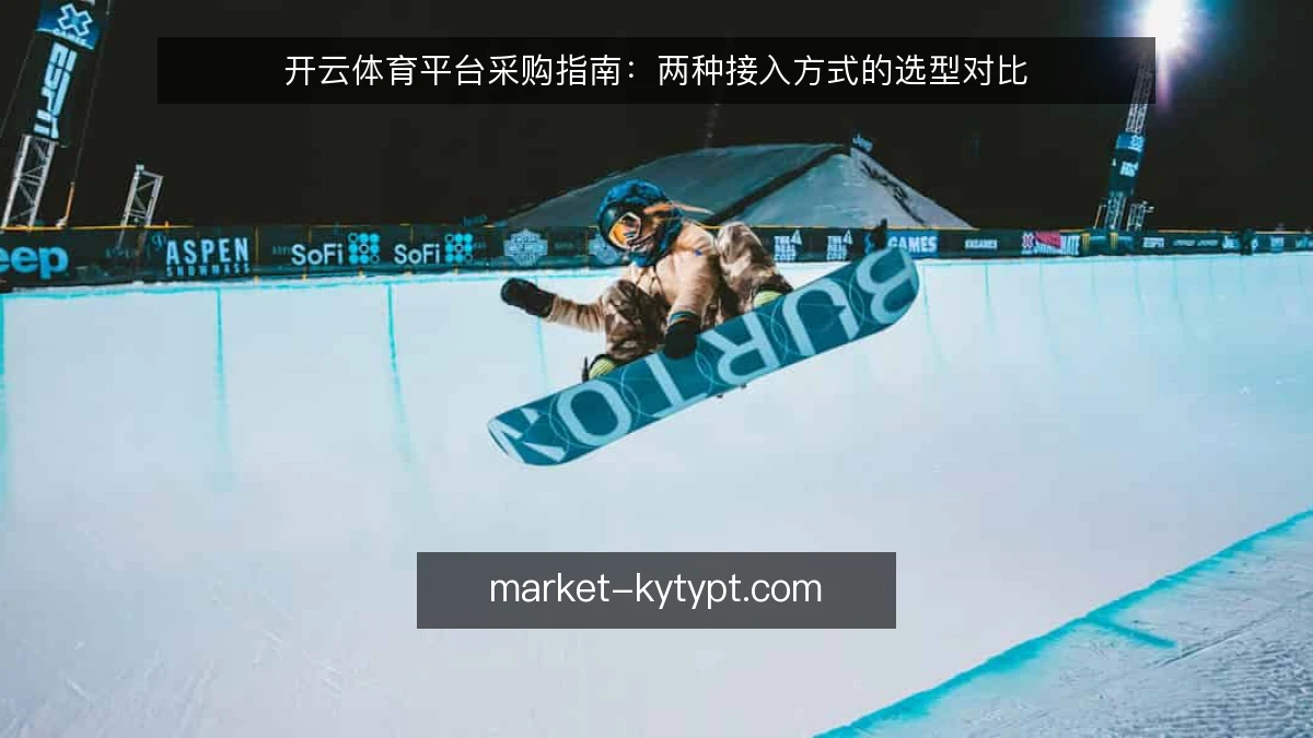 开云体育平台采购指南:两种接入方式的选型对比
