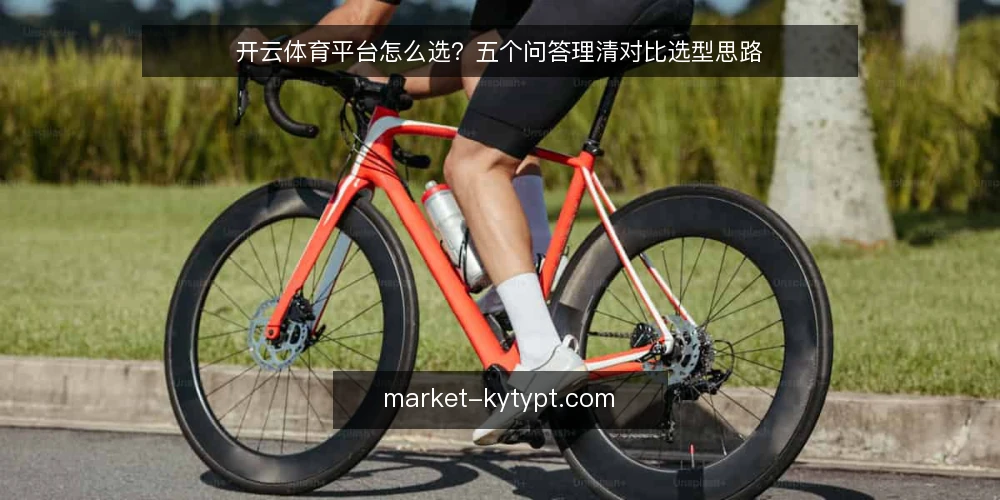 开云体育平台怎么选?五个问答理清对比选型思路 — 对比选型先看哪些判断标准? 配图